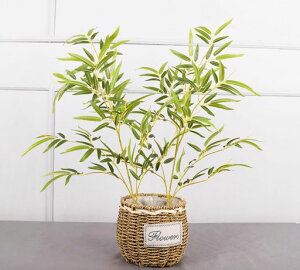 koundenekoԎ[|2{ZbglHtϒ|̗ttFCNO[{čՂ/[/~/p[eB[/CeABelH|63cm