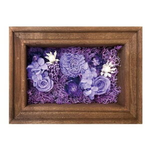 L[t(Q-FLA)AWXNGAt[vU[uht[uEp[v̓Mtg蕨813191