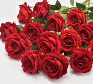 DIFEIUKIԃo12{Zbg[YԑKNԑ͂ȂԃtlfރCeAA[gt[̓o^Cajv[g