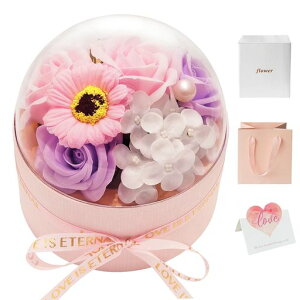 BlissPost\[vt[Mtgԑh[^CeAt[{bNXKNu[P͂ȂԑԒa̓LOƏjhV̓lCv[g񂰃c