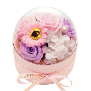 BlissPost\[vt[Mtgԑh[^CeAt[{bNXKNu[P͂ȂԑԒa̓LOƏjhV̓lCv[g񂰃c