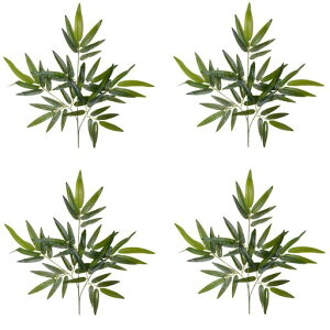 siawadeky[|4{Zbg[lHtϖ{lHϗtAtFCNO[V~[V|̗ttFCN[tԃCeABe[~āc