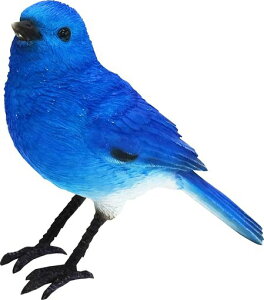 u[o[hK̐IuWFuBIRDIEBILLBLUEBIRD(o[fBru[o[h)#1687