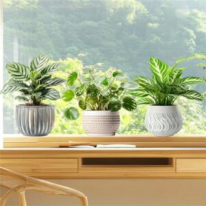 HikosiyaÓdXebJ[XebJ[ϗtAAhAKX蔍闼ʈœ\\蒼\ÓdCV[CeAXebJ[DIYPVCfސhX܁c