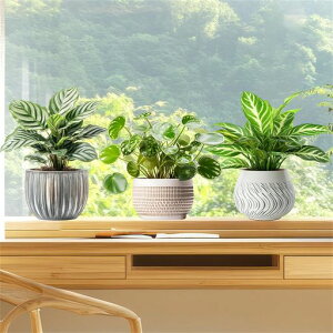 HikosiyaÓdXebJ[XebJ[ϗtAAhAKX蔍闼ʈœ\\蒼\ÓdCV[CeAXebJ[DIYPVCfސhX܁c