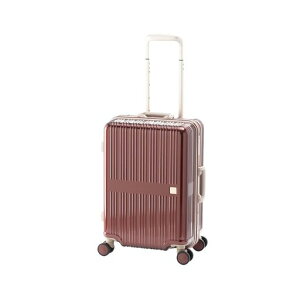 [�A�W�A�E���Q�[�W]�X�[�c�P�[�XALI-099-18�[A�W���G���[���b�h