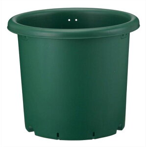 AbvEFA[v^[vؔ33^O[ye14Ls33.2x33.2x27cmؐXbgt{