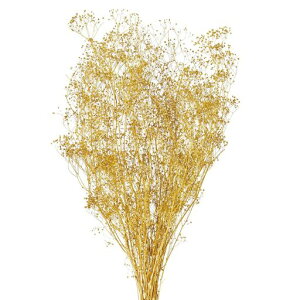 ������(Tokyodo)�v���U�[�u�h�t�����[�~�j�J�X�~����L55cm24g��FD004551-221