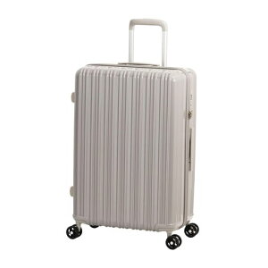 [�A�W�A�E���Q�[�W]�X�[�c�P�[�XALI-6688-24-A�O���[