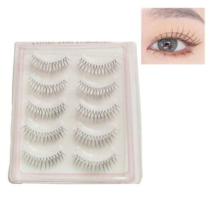 5yAi`ɍV^܂傫ȖڌʃACCN܂GNXeׂ܂