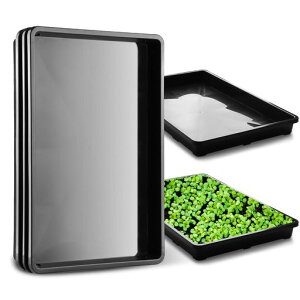 K[f󂯎MK[fjOgCe44cmcgC3Zbghh݌v|ƃgCcOpru[cgC(ubNA3)