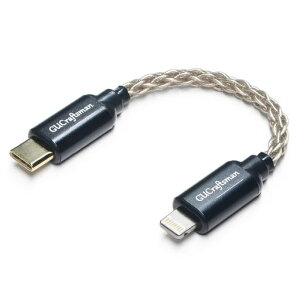 GUCraftsmanOTGP[uiOSϊType-C(USB-C)wbhtHAvP[u6NPP[uFiiOBTR5Q1Q3Q3sQudelix5KxDuooLink2XD-05PLUSE1DA