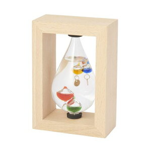 JYƃKXt[gxv(t[t)333-213ut@TCGX(FunScience)v14.5(h)x10x6cm