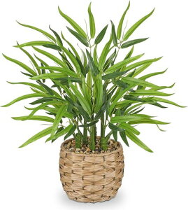 VillaComotFCNO[CeAO[|[lHϗtAou[ؖ~͑ԎȒP?svQ쏜svMtg