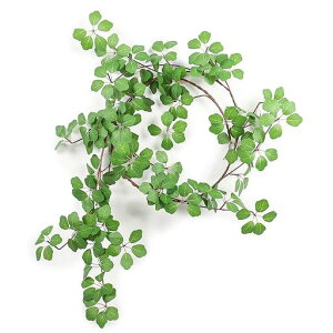 WillingYoutFCNO[݂艺ϗtA175cmǊ|CeAO[GKgy1{Zbg