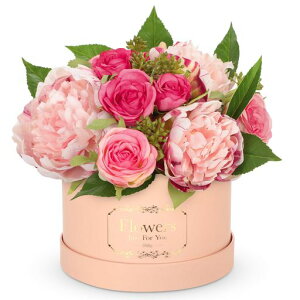 VillaComoԉԑ[YoOA[gt[u[PԌ͂Ȃԕ̓aƎLOzCgf[VNNX}X搶̓v[g{bNX(sN)