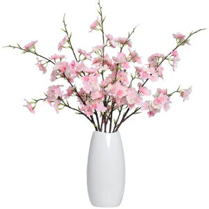 4{̉ԍ̎}lHVN͂ȂtFCNt[ԕrz[EFfBOItBXfR[VsN葡蕨