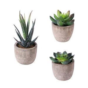 OUNONAT{etFCNO[ϗtAlHA3Zbg~jkuϗtv[gCeAO[