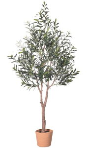 HAIHONGI[u̐lHAϗtAtFCNAnCI[u̒uV~[VA{̉ʎlG܁XɐXƂVNvg̗tAA̖kz[wzc