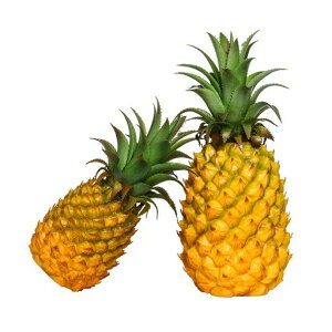 �l�H�t���[�c�E�p�C�i�b�v���E�H�i�T���v���E�S��21cm/24cm/26cm(�A�i�i�X/�p�C���A�b�v��/�P��/�ʕ�/�t���[�c)(�t�F�C�N�t�[�h/�H�i�͌^/�I�u�W�F/�f�B�X�v���C)(26)