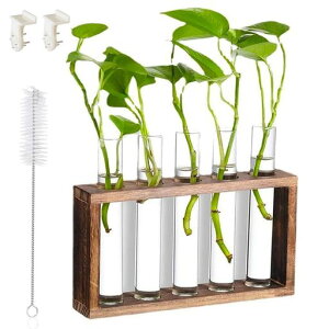 ǃKXԕrKXԕrؐt[ꐅk͔|ԑǊ|z[ItBX5{(gȐF)