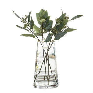 iăKXԕrNAt[x[XXg[g^~KXԕrԊ퓧[sAX^Ct[x[XɎqrkԊ킨(clear-goldenedge-22cm)