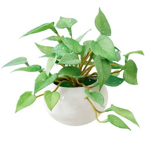 WillingYouフェイクグリーン卓上人工観葉植物フェイクグリーン1点セット光しょくばい観葉植物水生植物フェイク小さい卓上光触媒観葉植物ミニ鉢アンスリウムの葉