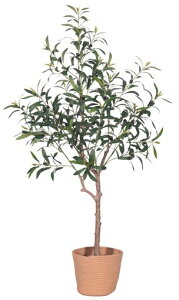 HAIHONGI[u̐lHAϗtAtFCNAnCI[u̒uV~[VA{̉ʎlG܁XɐXƂVNvg̗tAA̖kz[wzc