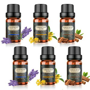 A}ICGbZVIC10mlx6{VRoA}fBt[U[ppA}Xg[pEssentialOilx_[/T_Ebh/؍