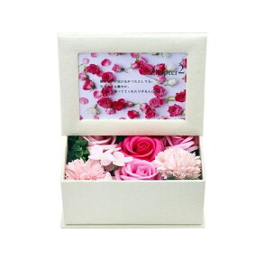 siawadeky\[vt[ʐ^ă{bNX\[vԃZbgΌt[͂ȂԃtHgt[t`Mtg{bNX̓o^Cf[av[gCeAc