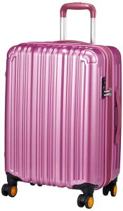 [�r�[�^�X]�X�[�c�P�[�X�t�@�X�i�[�G�L�X�p���_�u��TSA���b�N�_�u���L���X�^�[1�N�C���ۏ�BH-Z3000-M�ۏؕt50L55cm3.6kg���C�g�s���N