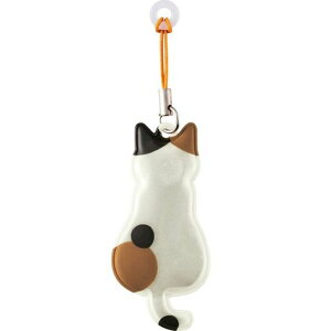 �f�R���R�[�|���[�V�����P�s�^�~�P�T�C�Y:��W8.5D13RF-43351