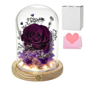 ̓vU[uht[ov[guU[ht[Ԃ肴[ǃtMtgLOv[gȋLOv[gޏav[g̃v[glCwƁc