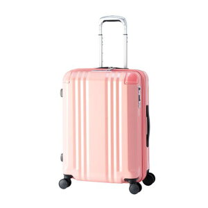 [�A�W�A�E���Q�[�W]�X�[�c�P�[�XALI-088-22W-A�R�[�����s���N