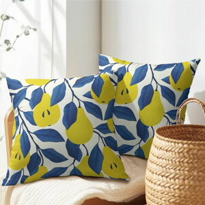 PAKAZANbVJo[ΐF̃ZCEiVN₩ȃu[̗tt[cN₩ʕČ|bvΐ45x45cmkNX}XMtga̓̓CeAWzeXc