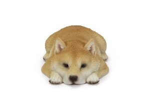 �E�[�r�A�Č��J�b�v?�t�^������11x6x3.5cm�l�`�t�B�M���A�u�����A�j�}�������K�[�f���������C�kH23218