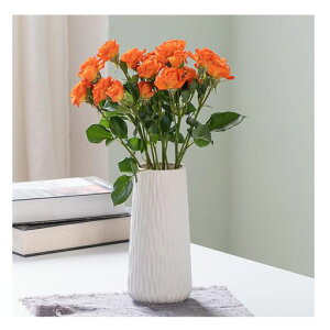 ELECTRO-WEIDEWORLDԕrt[x[XzCgk傫CeAԊ퐶ԃhCt[Z~bNXt[x[X(fUCA-M(20cm))