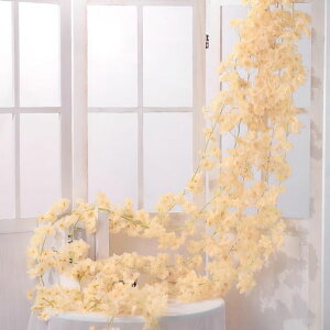 ԍ̉ԑԂ̓̉Ԓ݂艺4{135/{S1.8mVNt[t̉ԌԌ͂ȂԎԗ֐lHtFCNt[o^Cf[艮O뉀p[eB[Cc