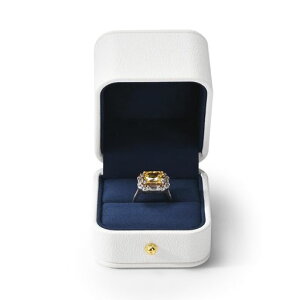 OirlvwփP[X1wփP[Xv|[Y~j^PUU[LOv[gWG[[ȂǂɓKKiɑΉH19701(zCg)