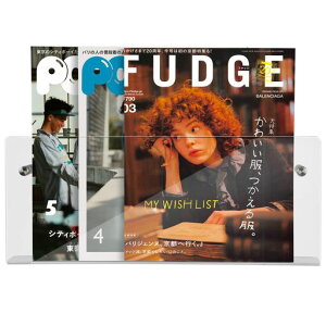 Lhh}KWbNǊ|_Dz_[ANz_[40cmx16cmʐ^܏_DjGn܋LOiΉ