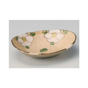 ȉ~D֑ȉ~[24x18.5x6cm]ٗHXaHƖp