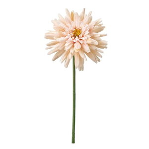 MAGIQAk}sbNN[Ԍa8xL19cm1{FM001655-037