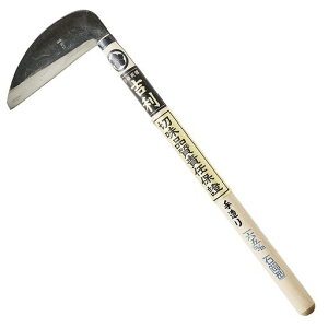 gΉ^165mmY{Elłbin_炩p