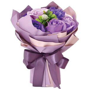 |s[É\[vt[V{t[ԃMtgv[g9փu[Poԑ22cmNApbNtSH-047p[v