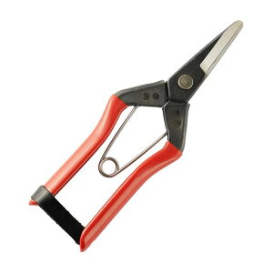 gg}gȐnۋȂnȐnntȂJbg_Ɖƒ؉