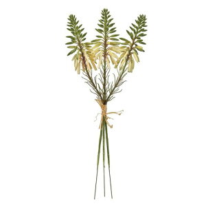 (Tokyodo)MAGIQA[eBtBVt[AGt[oh#37CREAMFM002789-037