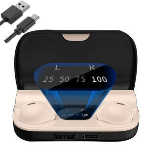 LYTDMSKYQzpCzy錓pCzzCXCzbluetoothQzɂȂBluetooth5.2Չ}CNCi[C[^QȂCz~jTCY^By3c