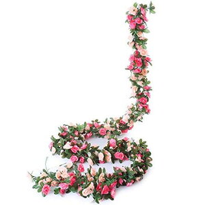 KindnessoK[h2.5m1{ԃCeAt[VNǊ|͂Ȃԓ̉KNϗtAfR[Vp[eB[iX뉀Xܑp̓̓Cxc