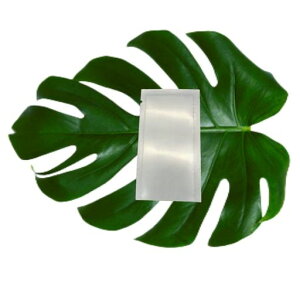 pE`ey100ZbgEzsplߑւpE`e2ml/5ml/10ml3TCY(ϐEtEN[EVv[Ή)Rh~dyʃRpNg[֗ObYrWlXoc