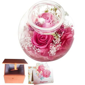 vU[uht[v[gav[g2ւKNޏȃLhz_[͂ȂԃMtgj̓zCgf[ސEjhV̓݃{bNXtsN